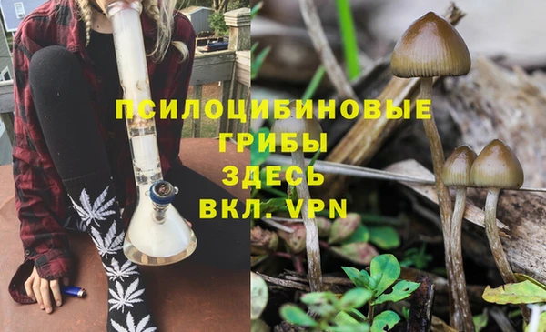 СК Армянск